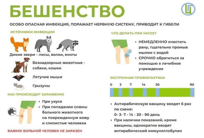 БЕШЕНСТВО