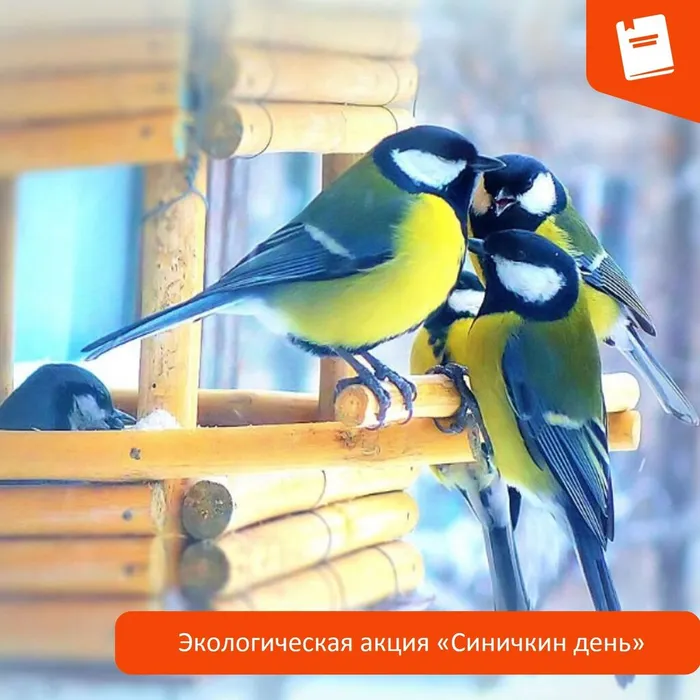 Экологическая акция СИНИЧКИН ДЕНЬ_ава