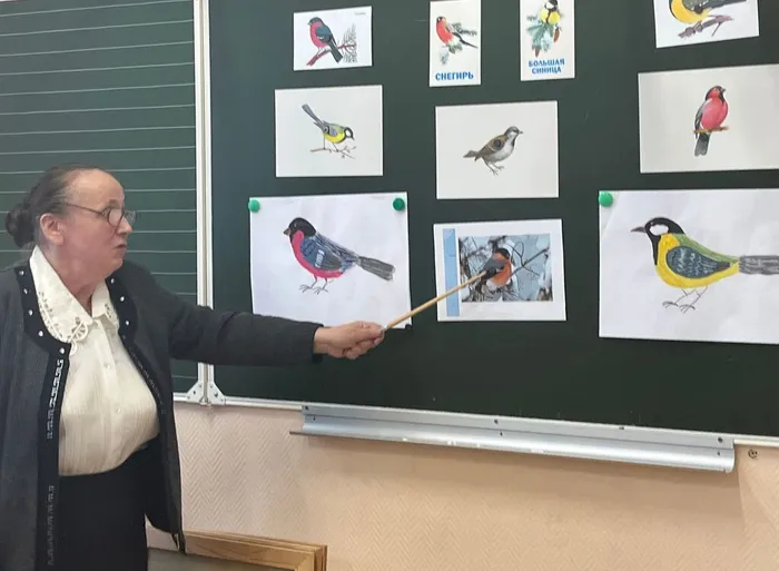 Экологическая акция СИНИЧКИН ДЕНЬ_2