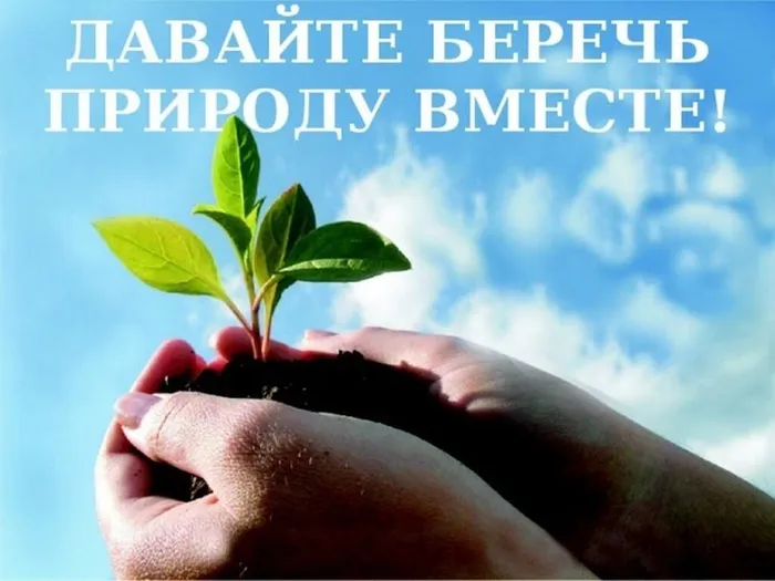 Давайте беречь природу