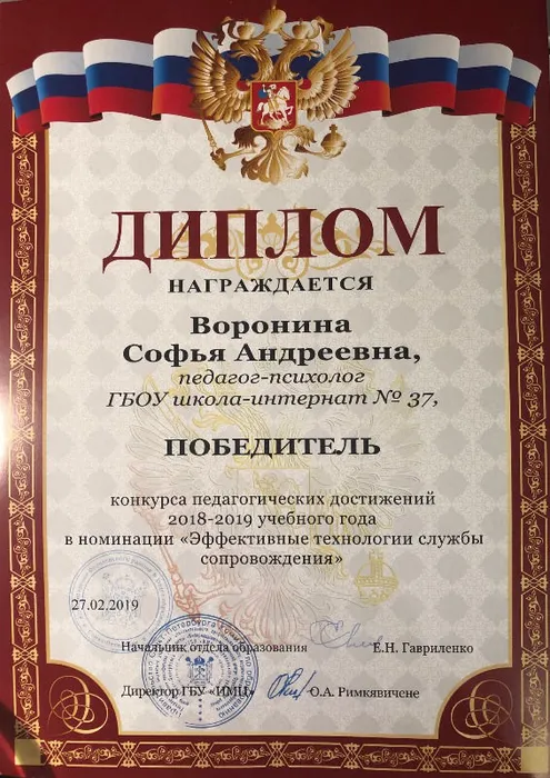 diplom_voronina.jpeg